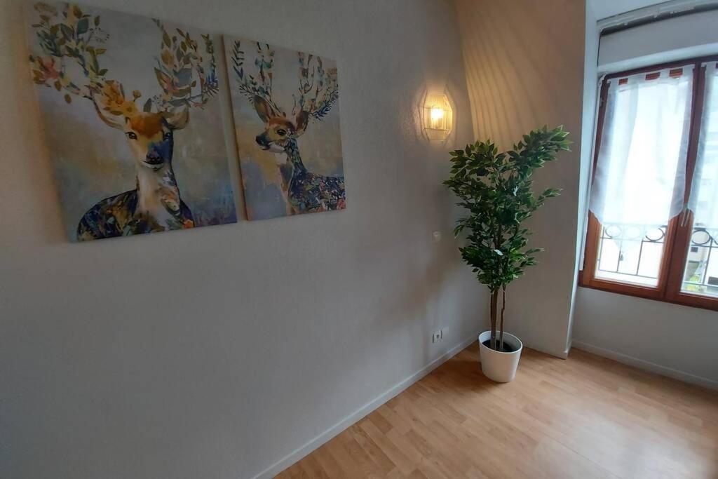 Appartement Moderne, Hyper-Centre - 6/8 Pers. Bagneres-de-Luchon Exterior photo